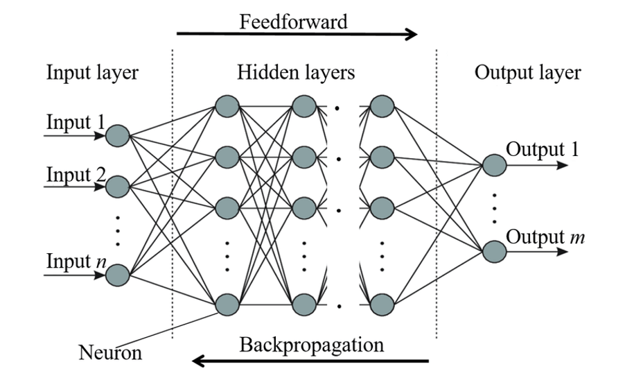 Structure of a fully connected dense neural network (Abueidda et.al., 2022)
